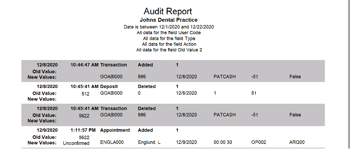 Example of Audit Report 